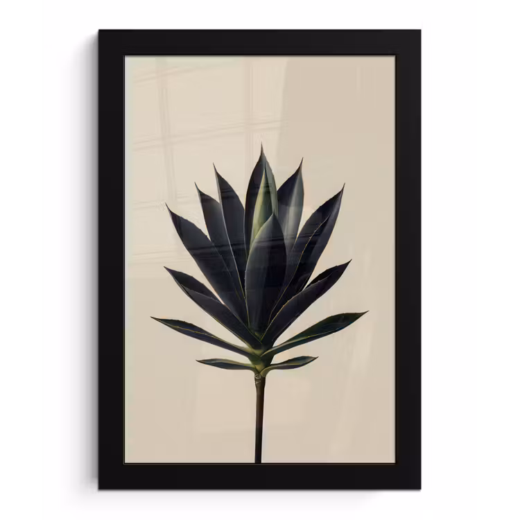 Agaveplant - Symmetrisch - Groen fotolijst zwart zonder passe partout klein -3d