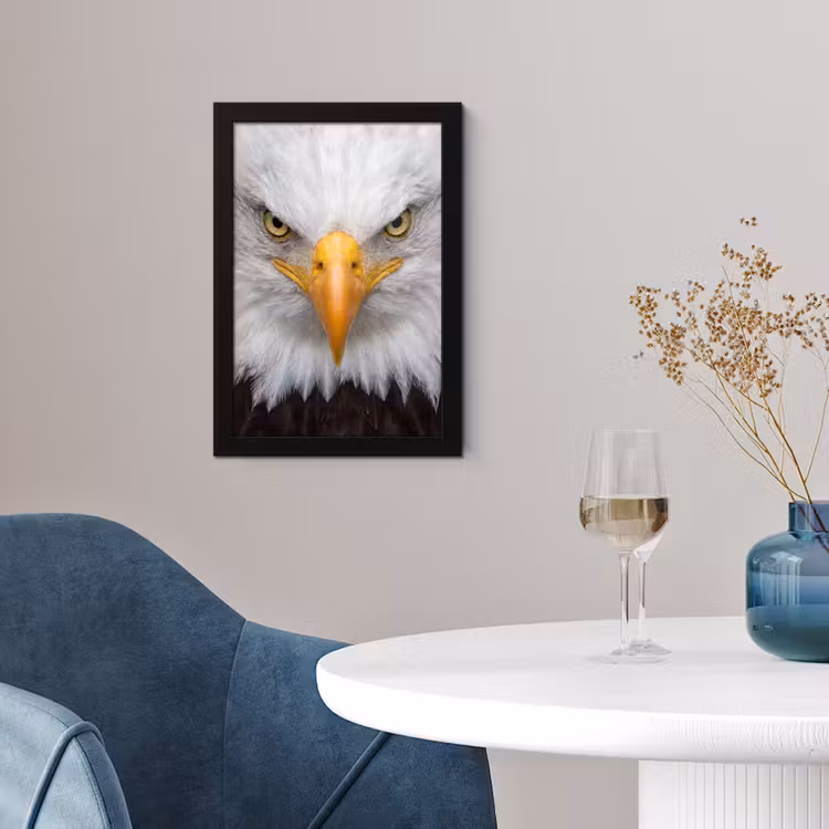 Amerikaans - Zeearend - Portret - Geel fotolijst zwart zonder passe partout klein -sfeer4