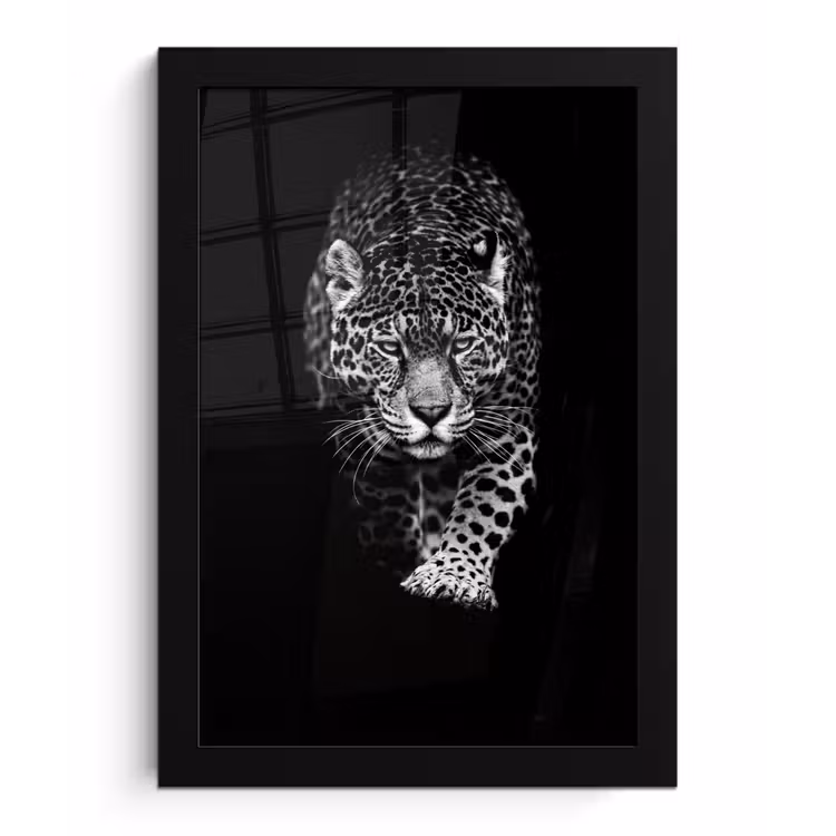 Dieren - Zwart - Luipaard - Wit - Wild fotolijst zwart zonder passe partout klein -3d