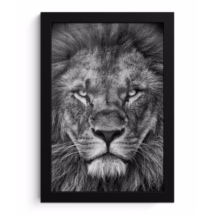 Dieren - Leeuw - Zwart - Wit - Portret fotolijst zwart zonder passe partout klein -3d
