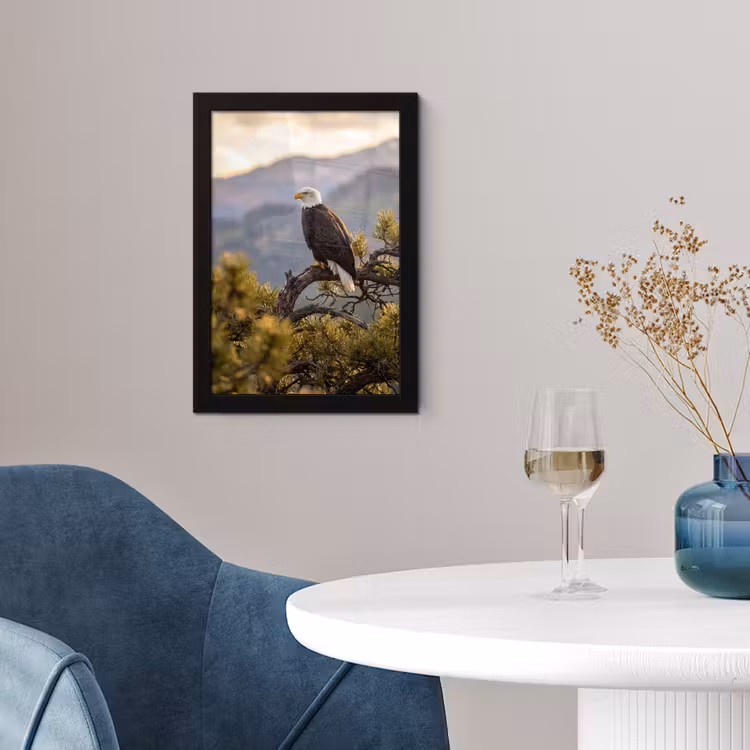 Zeearend - Boom - Bergen - Groen fotolijst zwart zonder passe partout klein -sfeer4