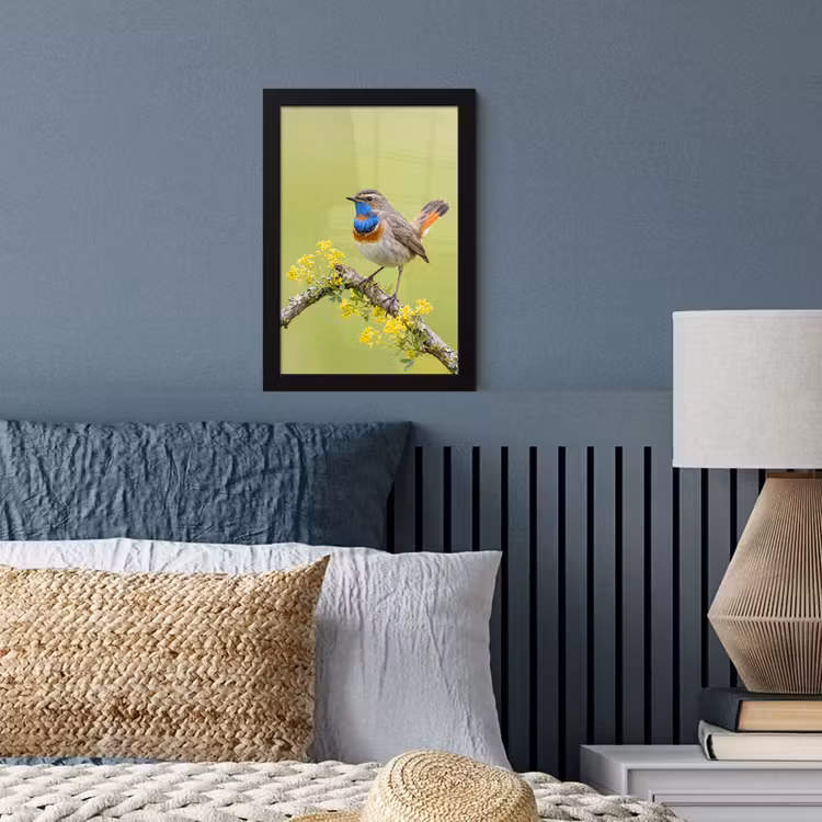 Vogel - Tak - Natuur - Kleurrijk fotolijst zwart zonder passe partout klein -sfeer3