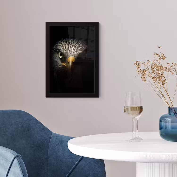 Vogel - Adelaar - Roofvogels - Oog - Snavel - Licht fotolijst zwart zonder passe partout klein -sfeer4