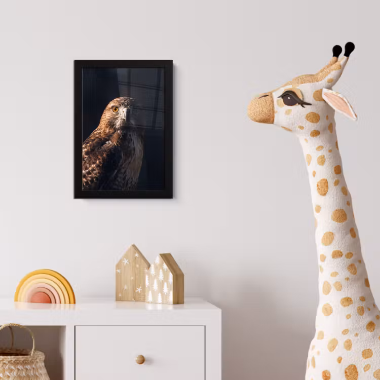 Roofvogel - Buizerd - Bruin fotolijst zwart zonder passe partout klein -usfeer4_kinderkamer