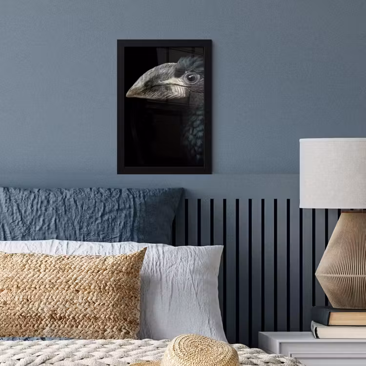 Vogel - Portret - Neushoornvogel - Zwart - Dieren fotolijst zwart zonder passe partout klein -sfeer3