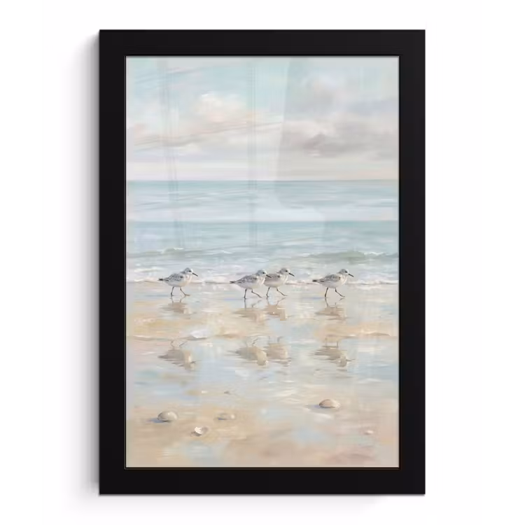 Vogels - Strand - Zee fotolijst zwart zonder passe partout klein -3d
