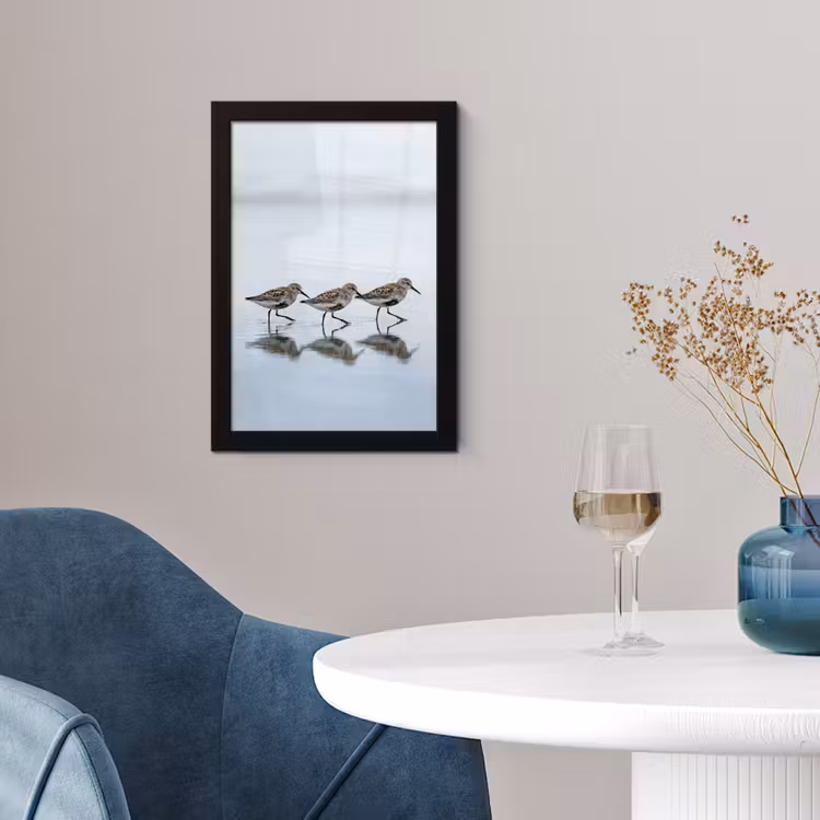 Vogels - Water - Grijs fotolijst zwart zonder passe partout klein -sfeer4