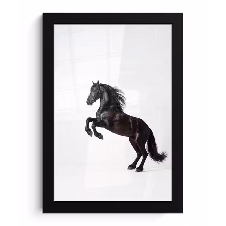 Zwart - Paard - Portret fotolijst zwart zonder passe partout klein -3d