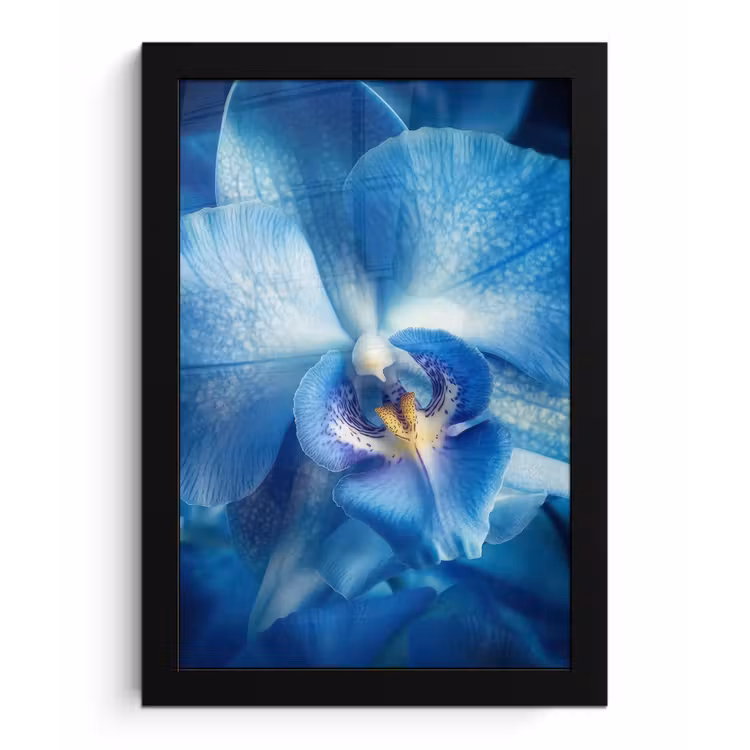 Blauw - Orchidee - Elegeant fotolijst zwart zonder passe partout klein -3d