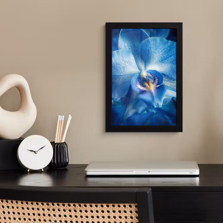 Blauw - Orchidee - Elegeant fotolijst zwart zonder passe partout klein -sfeer1