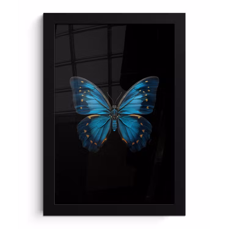 Vlinder - Blauw - Contrast fotolijst zwart zonder passe partout klein -3d