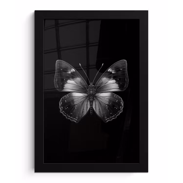 Vlinder - Grijs - Mysterieus fotolijst zwart zonder passe partout klein -3d