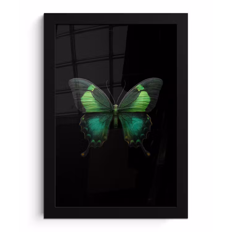Vlinder - Groen - Opvallend fotolijst zwart zonder passe partout klein -3d