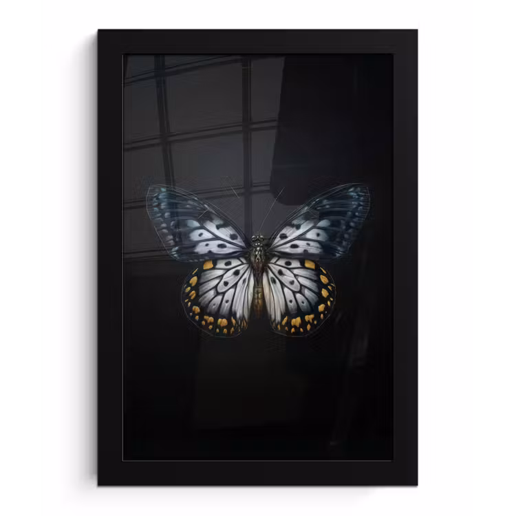 Vlinder - Monochroom - Balans fotolijst zwart zonder passe partout klein -3d