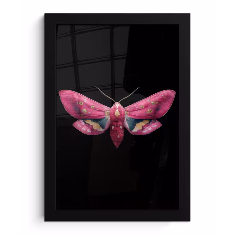 Vlinder - Roze - Nachtvlinder fotolijst zwart zonder passe partout klein -3d