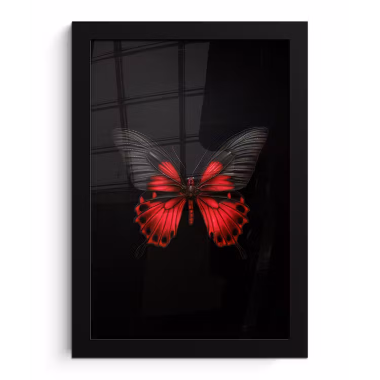 Vlinder - Rood - Contrast fotolijst zwart zonder passe partout klein -3d
