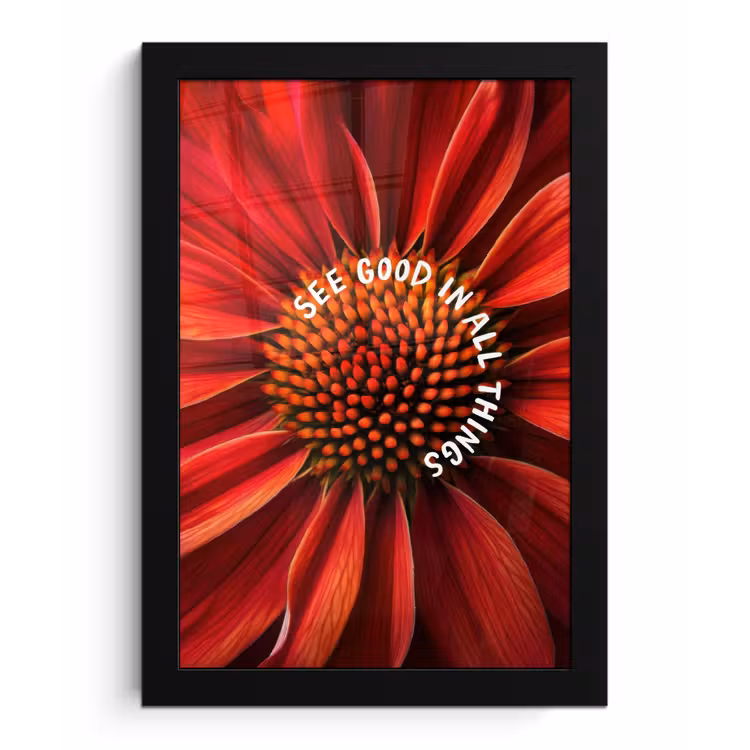Close up - Bloem - Quote - Rood fotolijst zwart zonder passe partout klein -3d