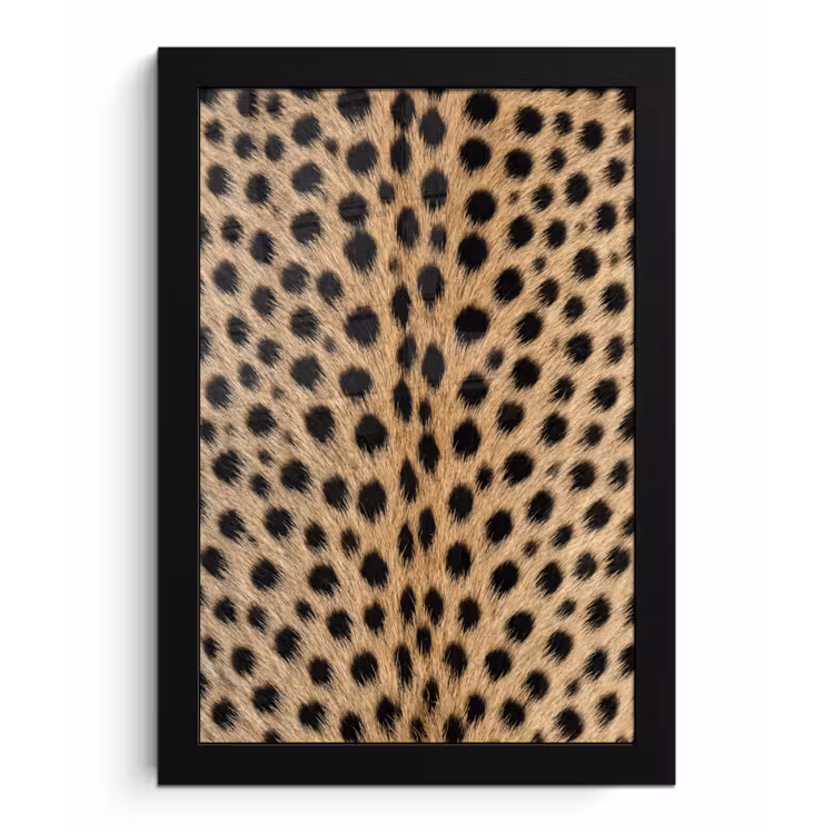 Vacht - Jachtluipaard - Zwart - Wit fotolijst zwart zonder passe partout klein -3d
