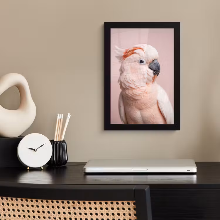 Kaketoe - Portret - Roze fotolijst zwart zonder passe partout klein -sfeer1