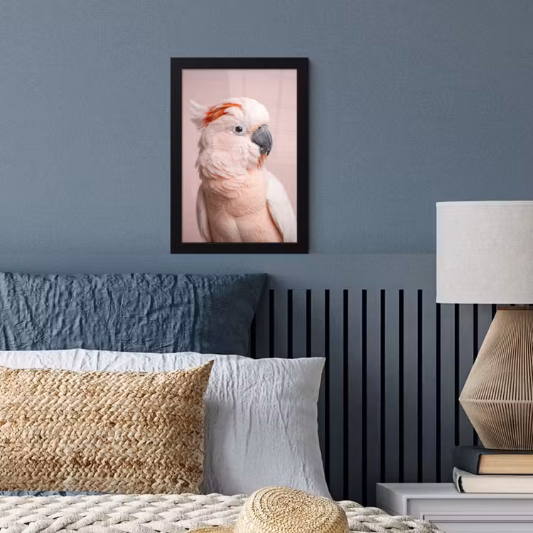 Kaketoe - Portret - Roze fotolijst zwart zonder passe partout klein -sfeer3