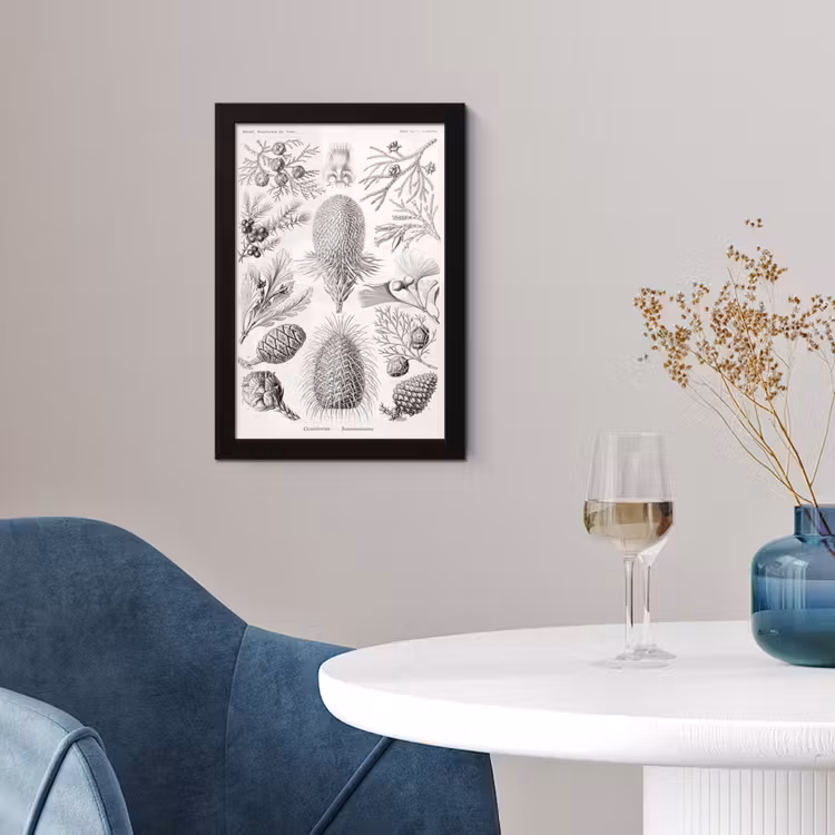 Coniferen - Ernst Haeckel - Kunst - Retro - Illustratie - Natuur fotolijst zwart zonder passe partout klein -sfeer4