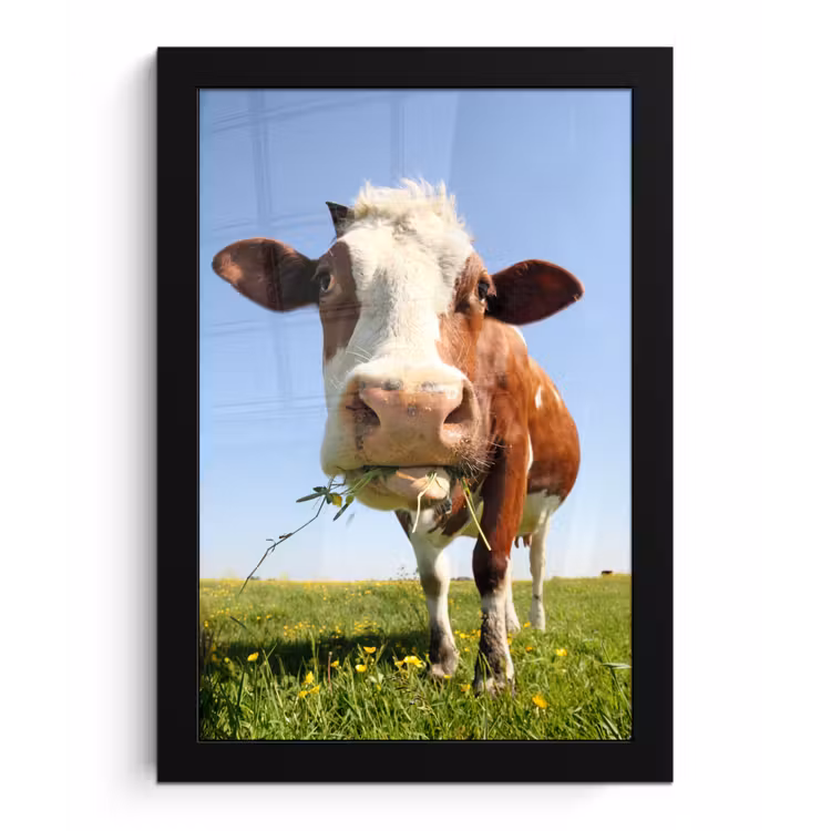Koe - Dieren - Bloemen - Gras fotolijst zwart zonder passe partout klein -3d