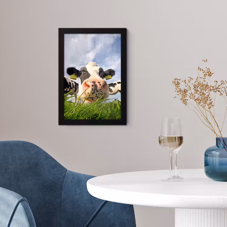 Koe - Boerderij - Gras - Dieren fotolijst zwart zonder passe partout klein -sfeer4