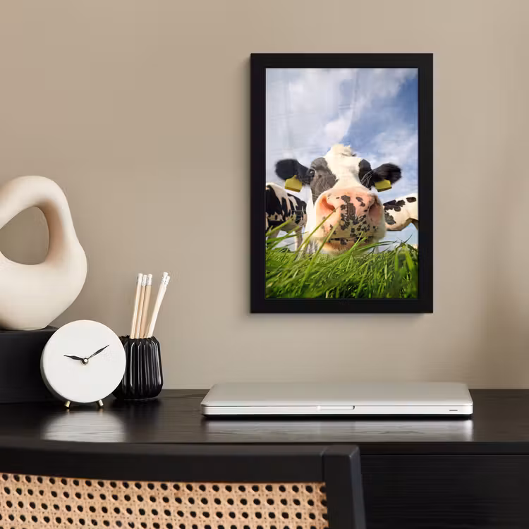 Koe - Boerderij - Gras - Dieren fotolijst zwart zonder passe partout klein -sfeer1