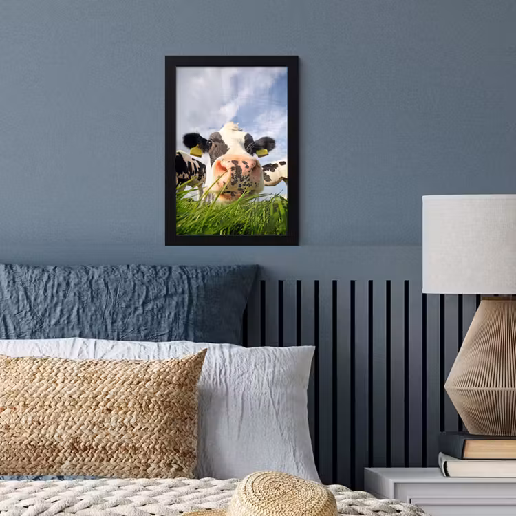 Koe - Boerderij - Gras - Dieren fotolijst zwart zonder passe partout klein -sfeer3