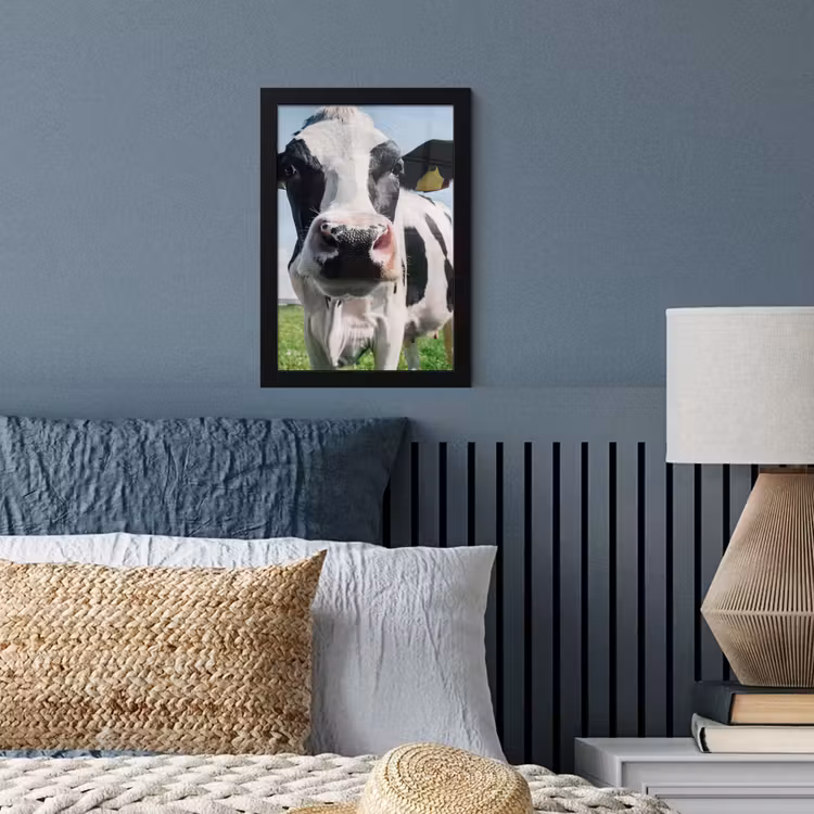 Koe - Weiland - Natuur - Dieren - Gras fotolijst zwart zonder passe partout klein -sfeer3