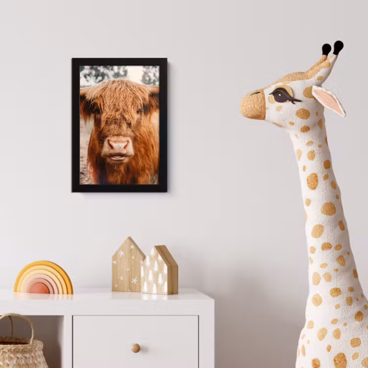 Koe- Schotse hooglander - Hoorns - Bruin - Landschap fotolijst zwart zonder passe partout klein -usfeer4_kinderkamer