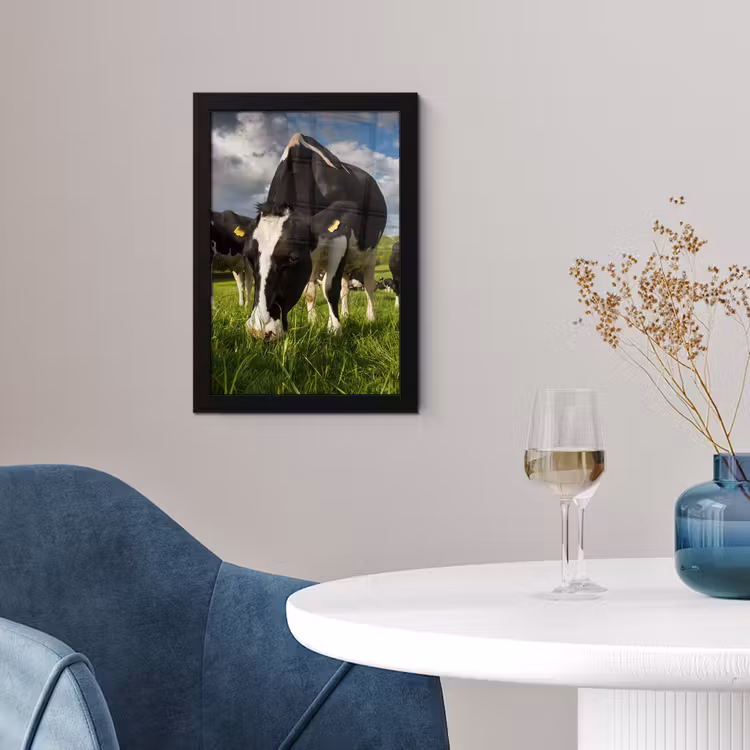 Koeien - Dieren - Gras - Weiland - Boerderij fotolijst zwart zonder passe partout klein -sfeer4