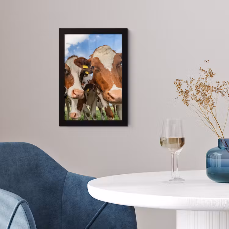 Koeien - Dieren - Weiland - Natuur fotolijst zwart zonder passe partout klein -sfeer4