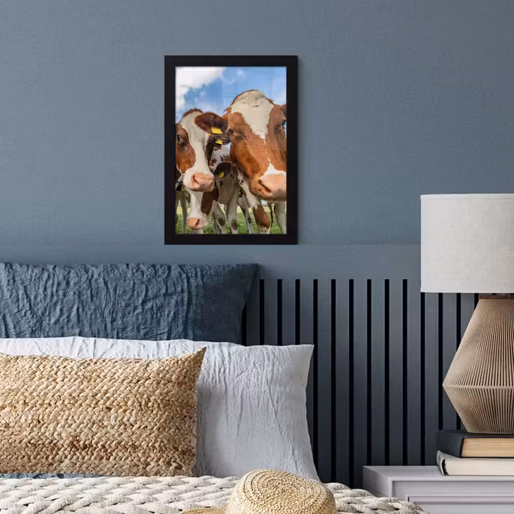 Koeien - Dieren - Weiland - Natuur fotolijst zwart zonder passe partout klein -sfeer3