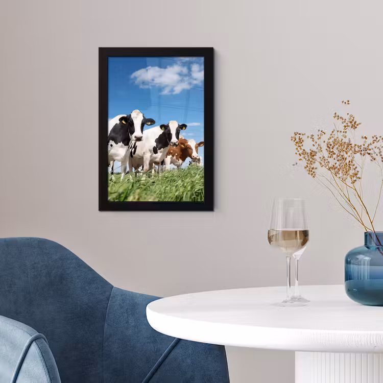 Koeien - Platteland - Weiland - Natuur - Dieren fotolijst zwart zonder passe partout klein -sfeer4