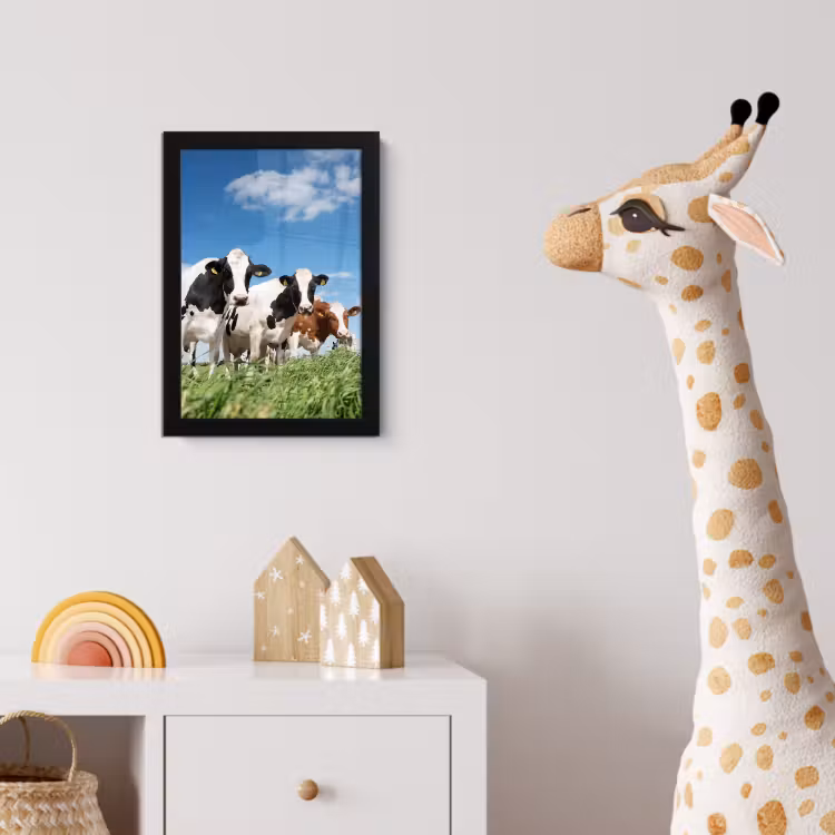 Koeien - Platteland - Weiland - Natuur - Dieren fotolijst zwart zonder passe partout klein -usfeer4_kinderkamer