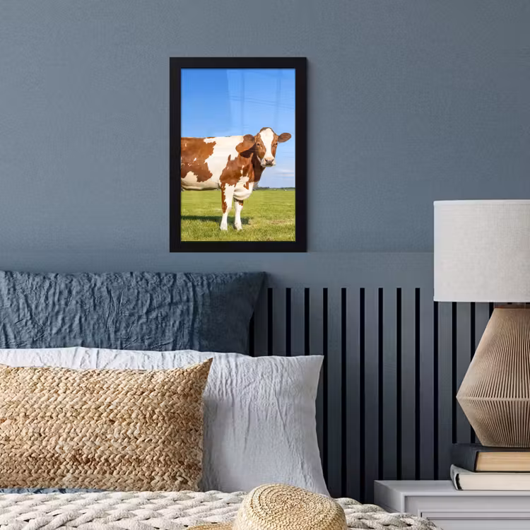 Koeien - Boerderij - Gras- Natuur - Dieren fotolijst zwart zonder passe partout klein -sfeer3