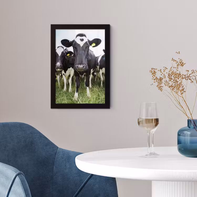Koeien - Gras - Lente - Dieren - Weiland - Boerderij fotolijst zwart zonder passe partout klein -sfeer4