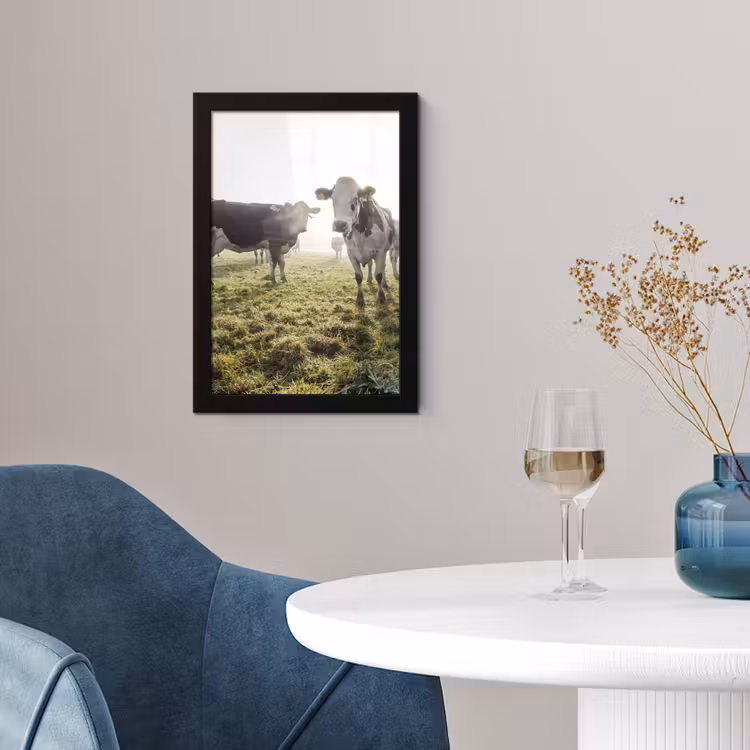 Koeien - Licht - Gras - Dieren fotolijst zwart zonder passe partout klein -sfeer4