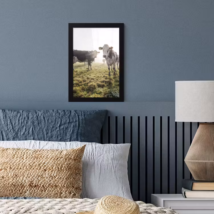 Koeien - Licht - Gras - Dieren fotolijst zwart zonder passe partout klein -sfeer3