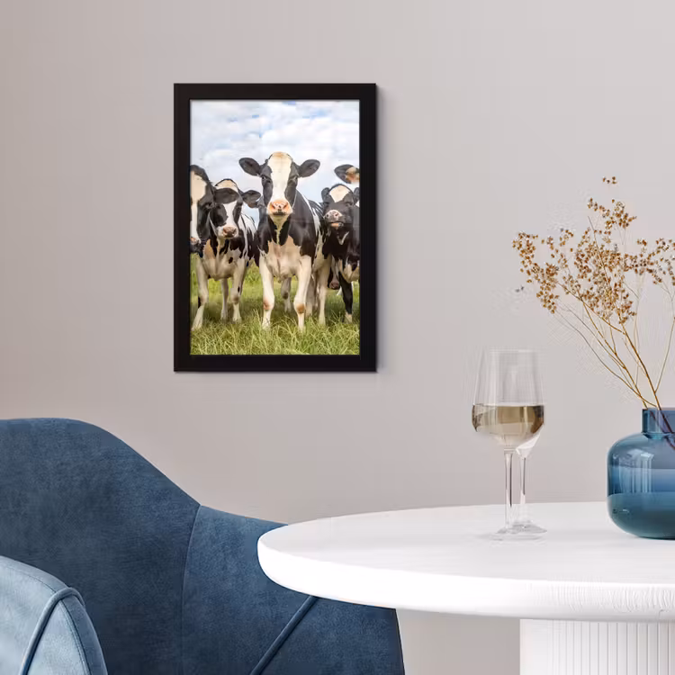 Koeien - Weiland - Dieren - Natuur - Gras fotolijst zwart zonder passe partout klein -sfeer4