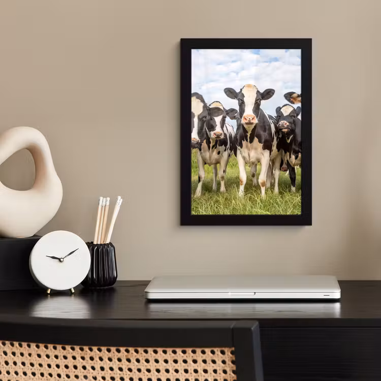 Koeien - Weiland - Dieren - Natuur - Gras fotolijst zwart zonder passe partout klein -sfeer1