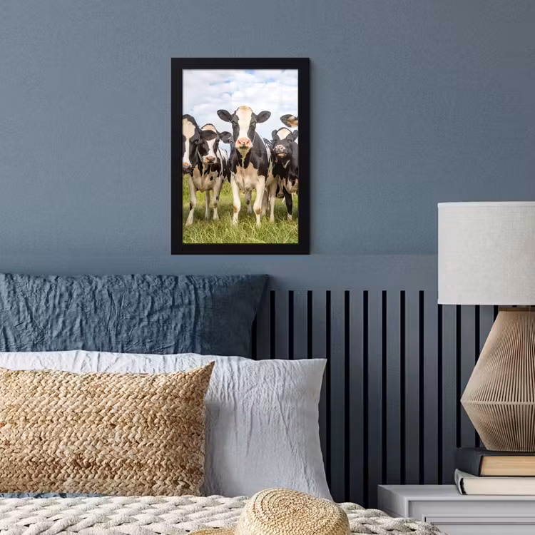 Koeien - Weiland - Dieren - Natuur - Gras fotolijst zwart zonder passe partout klein -sfeer3