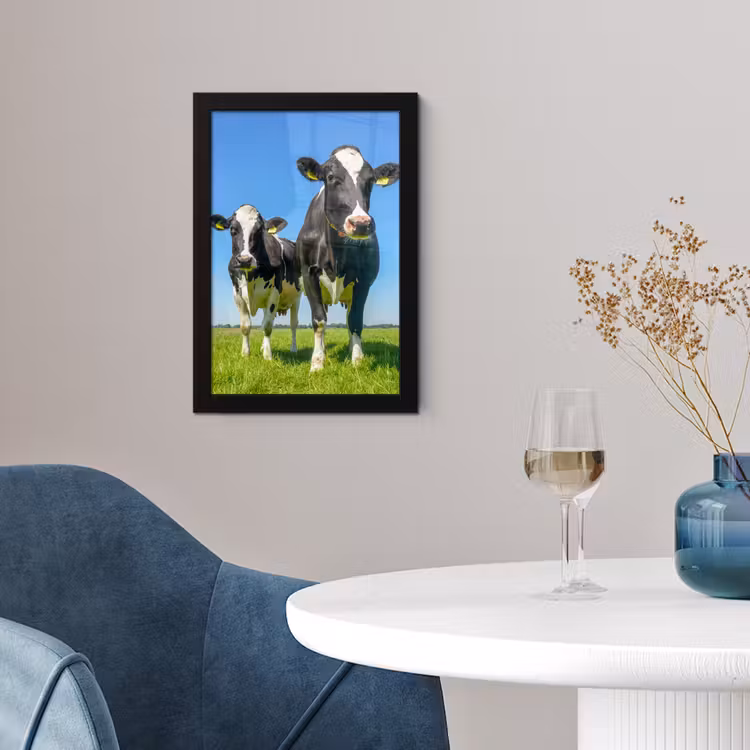 Koeien - Weiland - Gras - Dieren - Boerderij fotolijst zwart zonder passe partout klein -sfeer4