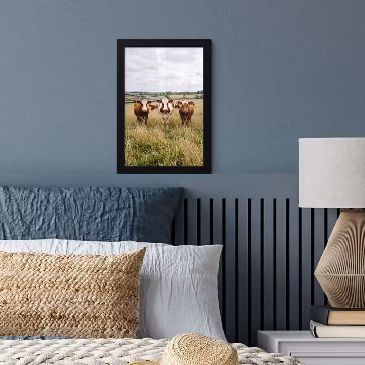 Koeien - Portret - Weide - Boerderij - Nieuwsgierig fotolijst zwart zonder passe partout klein -sfeer3