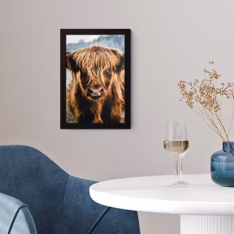 Koeien - Schotse hooglander - Bruin - Natuur fotolijst zwart zonder passe partout klein -sfeer4