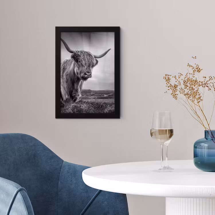 Koeien - Schotse hooglander - Natuur - Dieren - Zwart wit fotolijst zwart zonder passe partout klein -sfeer4