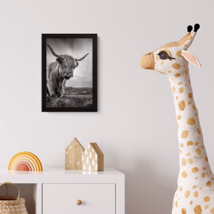 Koeien - Schotse hooglander - Natuur - Dieren - Zwart wit fotolijst zwart zonder passe partout klein -usfeer4_kinderkamer