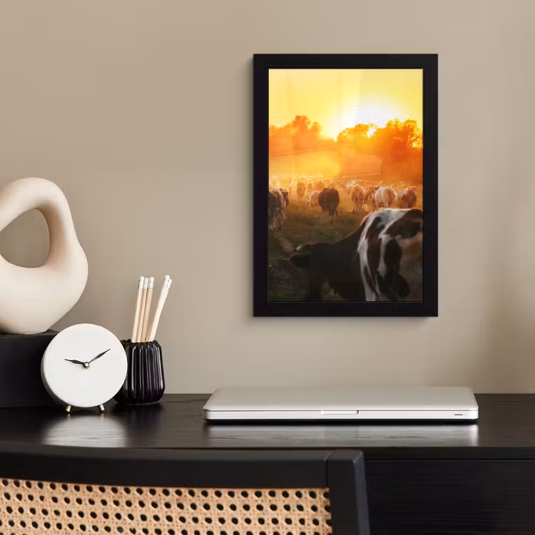 Koeien - Zonsondergang - Weiland - Dieren fotolijst zwart zonder passe partout klein -sfeer1