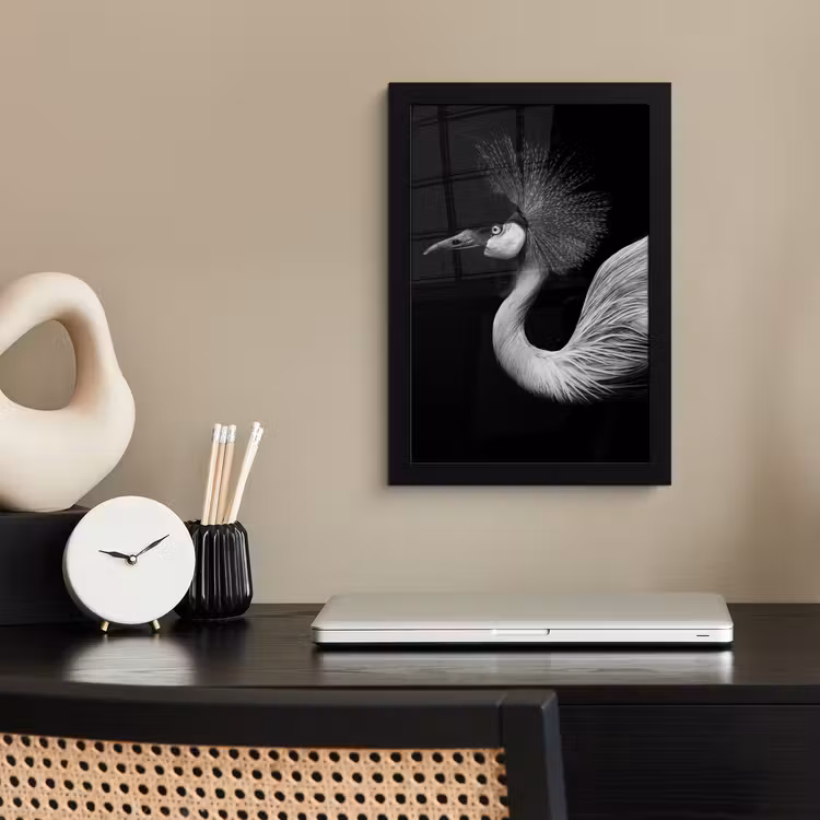 Kraanvogel - Zwart - Wit - Vogel - Dieren fotolijst zwart zonder passe partout klein -sfeer1